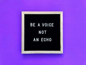 brand voice example, Be a voice, not an echo