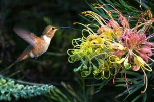 optimizing website speed efficiently